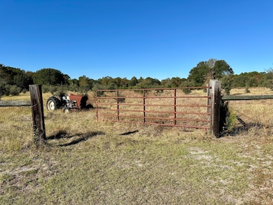 00 Virginia Rd, Dorchester, SC 29437 - photo 6