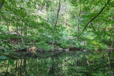 45 Ettl Ln unit 206, Greenwich, CT 06831 - photo 4