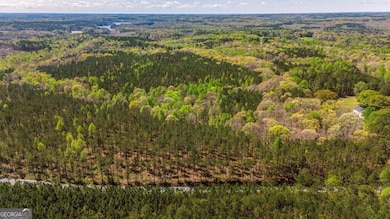 TRACT 9 Horsley Mill Rd, Carrollton, GA 30116 - photo 2