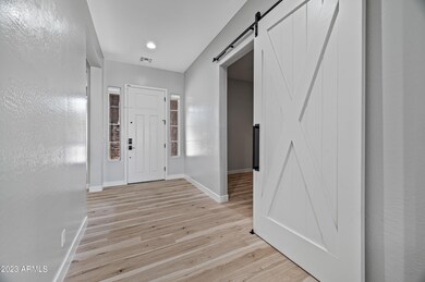 Barn Door to den/office