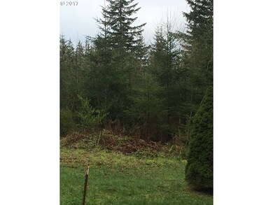 0 Bedell Rd, Deer Island, OR 97054 - photo 3
