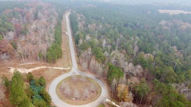 1549 Treasure Ln, Tignall, GA 30668 - photo 3