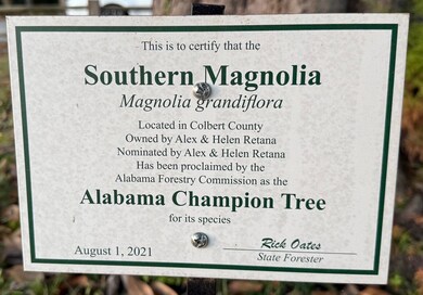 406 N Commons St W, Tuscumbia, AL 35674 - photo 7