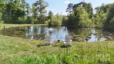 7166 Kidville Rd, Denver, NC 28037 - photo 6