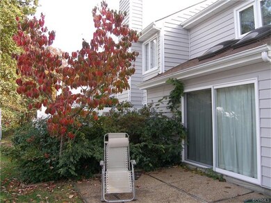 Rear Aggregate Patio and Nandinas and a Dogwood Tr