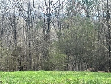 View of woods