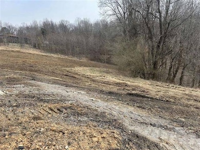 583 Austin Tracy Rd, Lucas, KY 42156 - photo 4