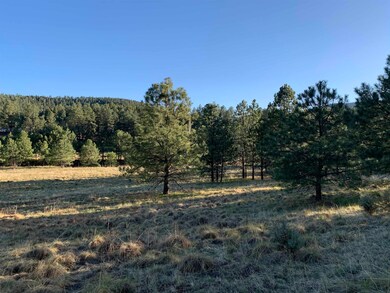 Lot 4 James Canyon Hwy unit 4, Cloudcroft, NM 88317 - photo 3