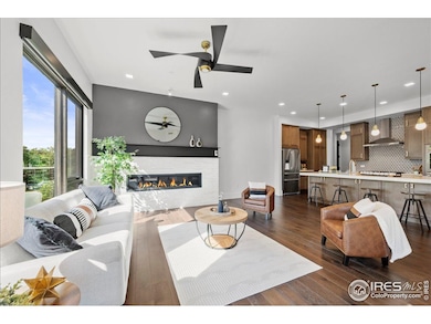 302 N Meldrum St unit 313, Fort Collins, CO 80521 - photo 3