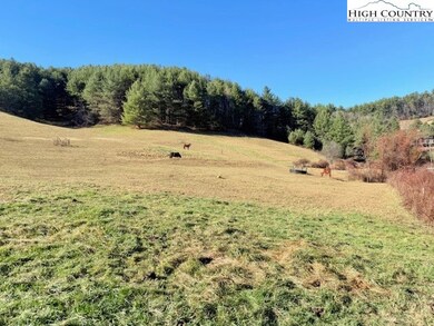 TBD Rd, West Jefferson, NC 28694 - photo 3