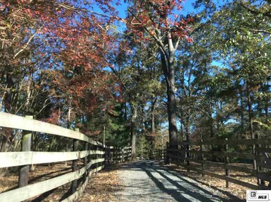 0 Hodge Watson Rd, B, LA 71225 - photo 2