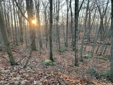 118 Bass Ct, Barrett Township, PA 18325 - photo 2