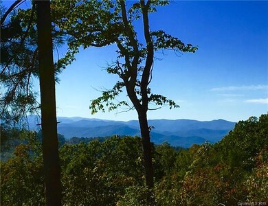 e4 Marble Ct unit Estates 4, Hendersonville, NC 28792 - photo 2