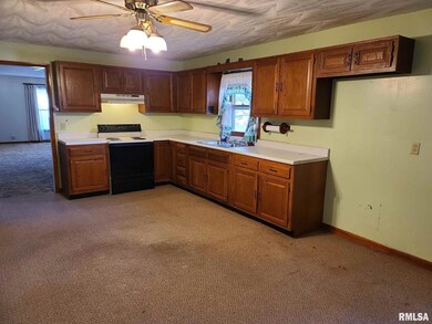 2059 Lair Rd, Ashland, IL 62612 - photo 3