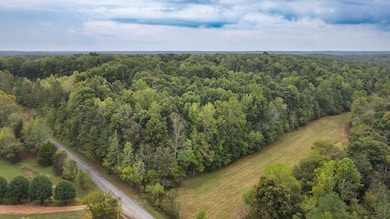 1 Deep Cut Rd, Erin, TN 37061 - photo 5