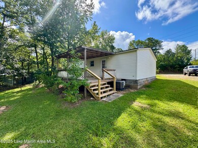 890 Peckerwood Rd, Jacksons Gap, AL 36861 - photo 4