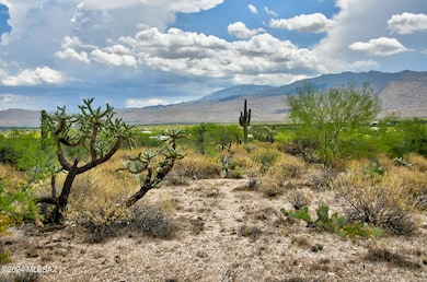400 S Pinto Place, Tucson, AZ 85748 - photo 5