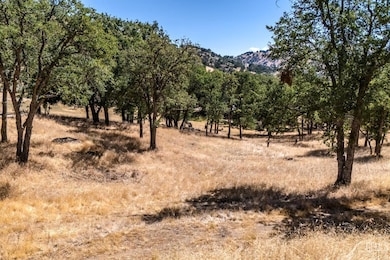 0 Armed Ct, Stallion Springs, CA 93561 - photo 4