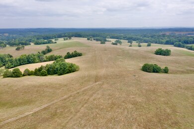 RR 1 Box 438K County Rd O-532, Ava, MO 65608 - photo 2