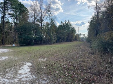 223 Kersey Rd, Adrian, GA 31002 - photo 3