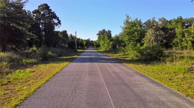 TBD SW Valencia Heights Ave, Dunnellon, FL 34431 - photo 6