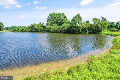 0 Carters Farm Ln unit VALO2036108, Middleburg, VA 20117 - photo 7