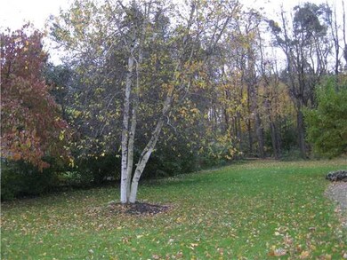 Yard/Garden