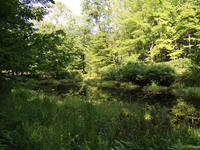 0 Cedar Rd, Lincoln Township, MI 48625 - photo 5