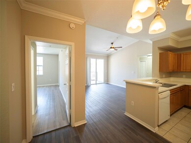 Kitchen/Master Bedroom/Living Room