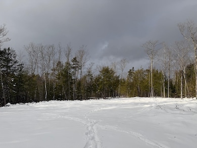 000 Dwinell Rd unit 534502, Troy, NH 03465 - photo 3