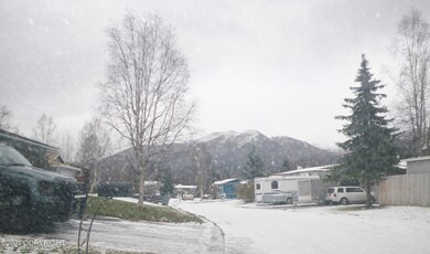 summer mountain view