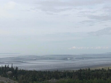 6100 Prominence Pointe Dr, Anchorage, AK 99516 - photo 6