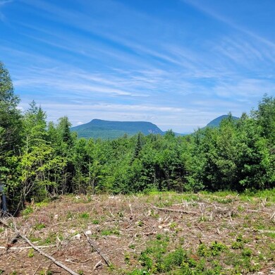 Off Rocky Rd, Newark, VT 05871 - photo 5