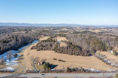 DJI_0973