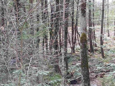 155 Pine Hill Rd, Ossipee, NH 03890 - photo 5