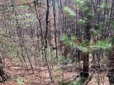 0 Lot # 3 Panther Creek Properties, Almond, NC 28702 - photo 2