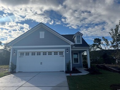 1181 Lady Bird Way unit (Phase 2 Lot 507), Atlantic Beach, SC 29582 - photo 2