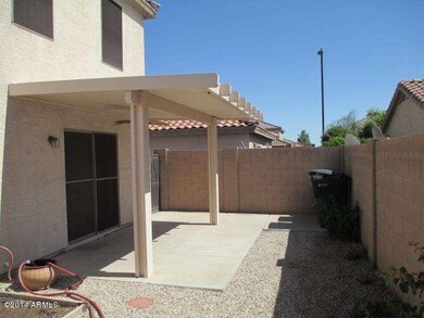 back yard 2