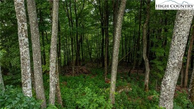 Great Trees!