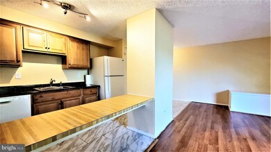 19513 Gunners Branch Rd unit 523, Germantown, MD 20876 - photo 5