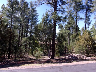 Beautiful land 2160 Pine Grove Drive