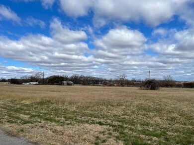 000 Laurie Ln, Springtown, TX 76082 - photo 5