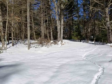 0 Ridge Rd unit 77 4676758, Lyman, NH 03585 - photo 6