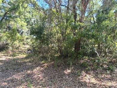 4140 S Kenvera Loop, Inverness, FL 34450 - photo 5