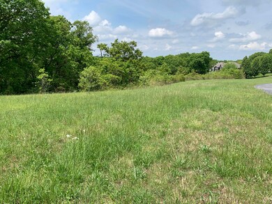 Lot 35a Hidden Springs, Reeds Spring, MO 65737 - photo 3