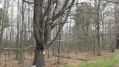 20210419_115714_resized
