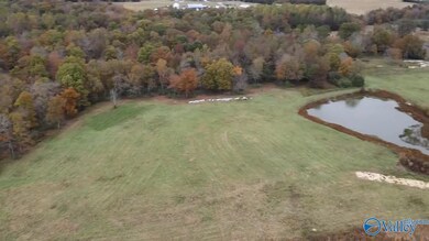 13.9 Acres County Road 429, Fyffe, AL 35971 - photo 7