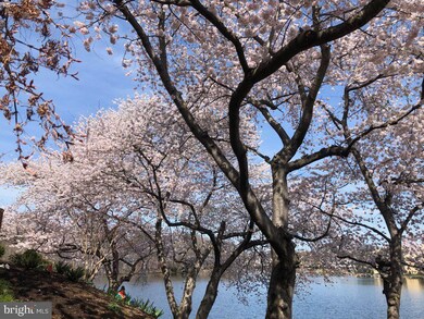 2000 Lakewinds Dr, Reston, VA 20191 - photo 4