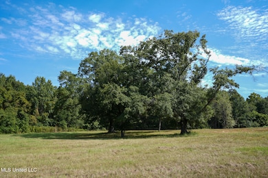 0 Cane Creek Rd unit 4132141, Flora, MS 39071 - photo 7