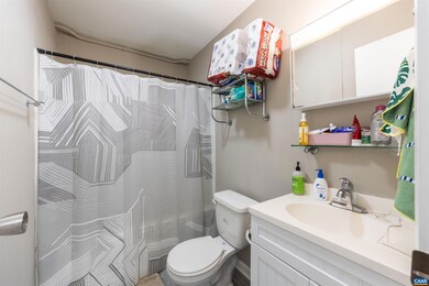 2100 Jefferson Park Ave unit 10, Charlottesville, VA 22903 - photo 7